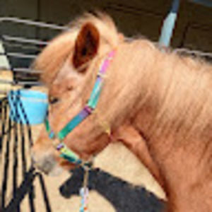 Meet your Posher, Kimberly